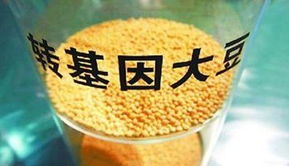金龍魚陷轉基因門風波 專家稱安全性尚無定論，對酒類經營有何啟示？